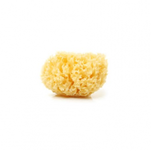 Spugna Naturale di Mare Fine Dama