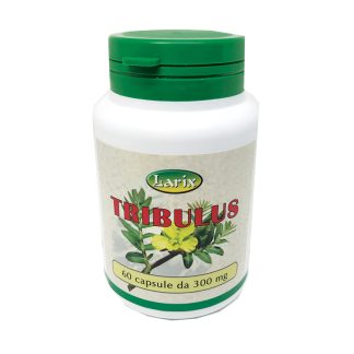 Tribulus Terrestris Capsule