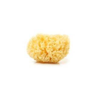 Spugna di Mare Misura Media