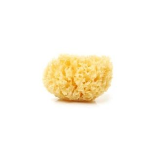 Spugna Naturale di Mare Misura Grande