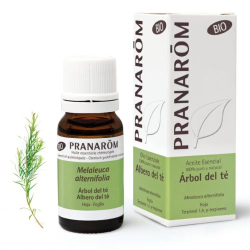 Tea Tree Oil Foglia Bio Olio Essenziale 10 ml