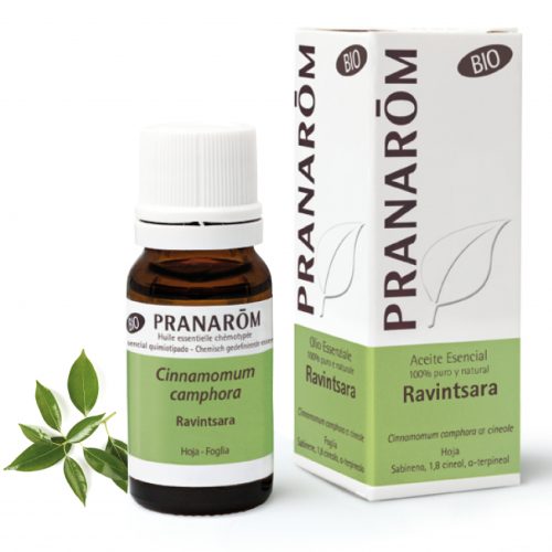 Ravintsara Foglia Bio Olio Essenziale 10 ml