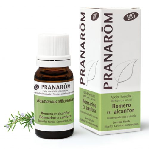 Rosmarino Canfora Sommità Fiorite Bio Olio Essenziale 10 ml