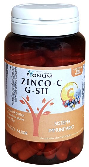 Sygnum Zinco-C-GS-SH 100 Capsule