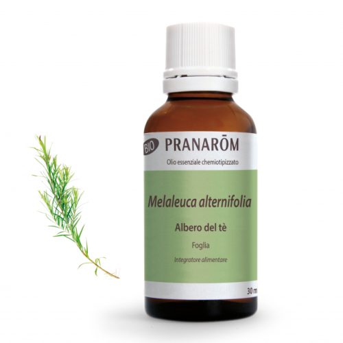 Tea Tree Oil Foglia Bio Olio Essenziale 30 ml