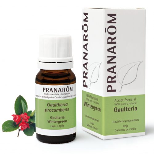 Wintergreen Olio Essenziale 10 ml