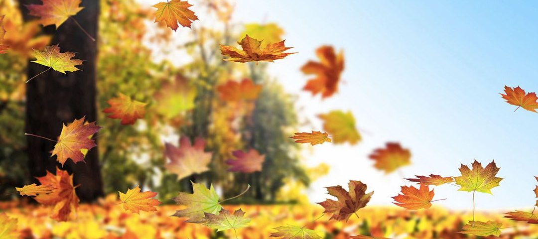 Succede a chi ha i capelli: in autunno... si perdono