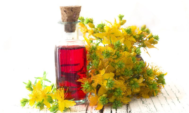 Oleoliti: macerati di piante in olio