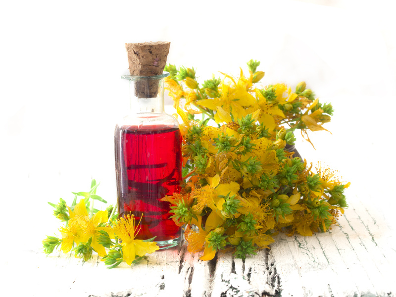 Oleoliti: macerati di piante in olio