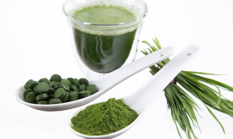 L’erba d’orzo: vitalità e benessere