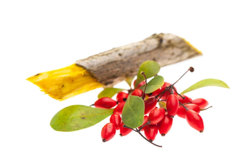 Berberina e il colesterolo cattivo sarà messo ko!