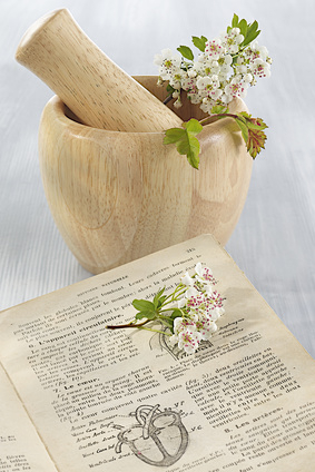 Fitoterapia: fitocomplesso o principi attivi