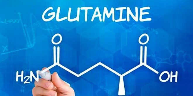 Glutammina: una soluzione contro la gastrite e le ulcere gastriche