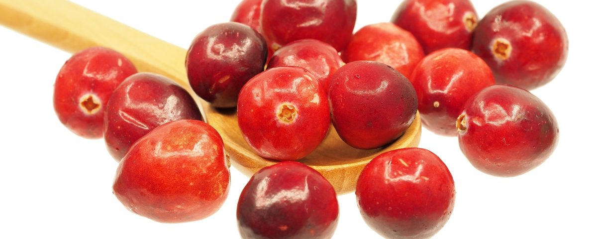 Mirtillo rosso, prezioso come il rubino
