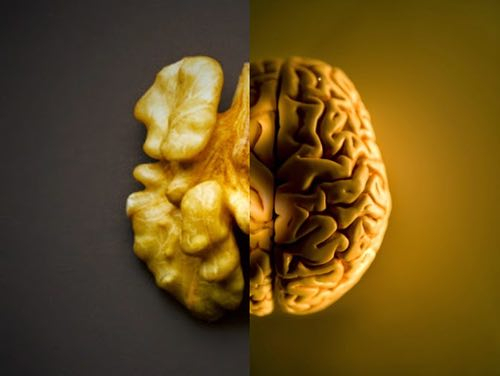 Teoria delle segnature: i segni nascosti nella Natura