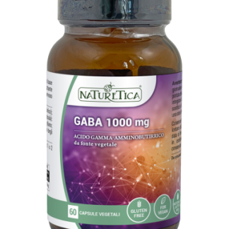 Gaba 1000 mg 60 capsule