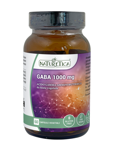 Gaba 1000 mg 60 capsule