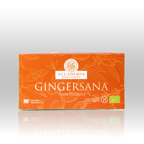 Tisana Ginger Sana Bio 16 bustine filtro