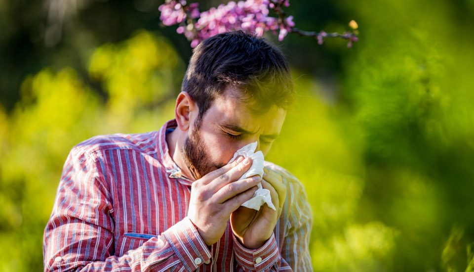 Rinite allergica rimedi naturali
