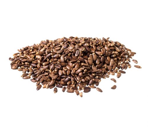 Cardo Mariano Frutti 200 grammi