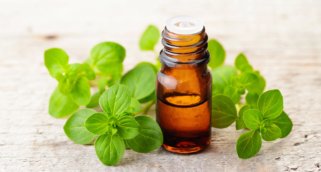 Olio essenziale di Origano