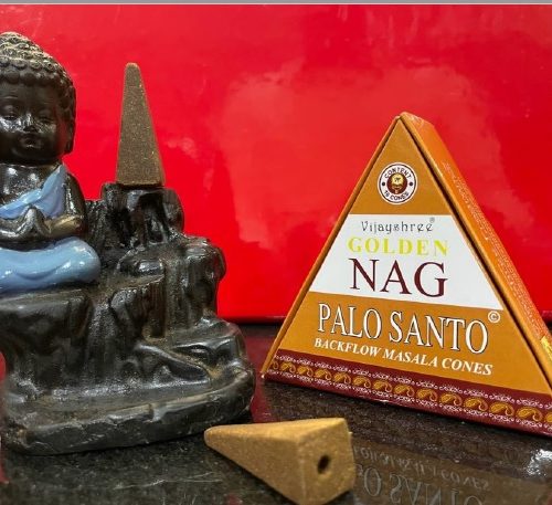 Incenso BackFlow Palo Santo 10 Coni