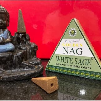 Incenso BackFlow Salvia Bianca 10 Coni