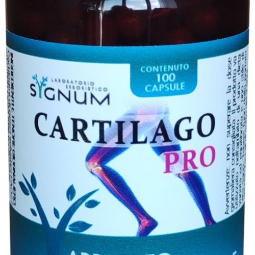Cartilago Pro Apparato Osteoarticolare 100 capsule