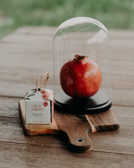 CHICCI D'INVERNO Shampoo e Balsamo Solido Nutriente 2 in 1 50 grammi