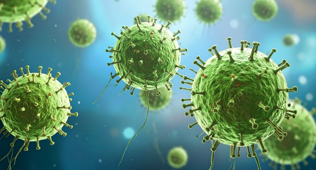 rinforzare le difese immunitarie