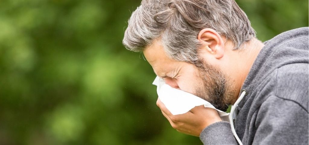 Allergia alle graminacee