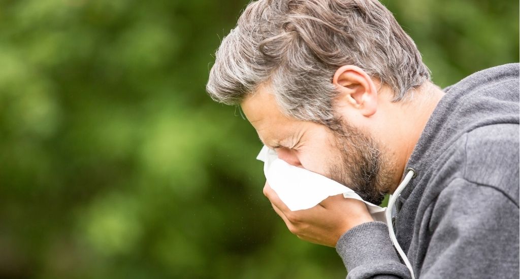 Allergia alle graminacee