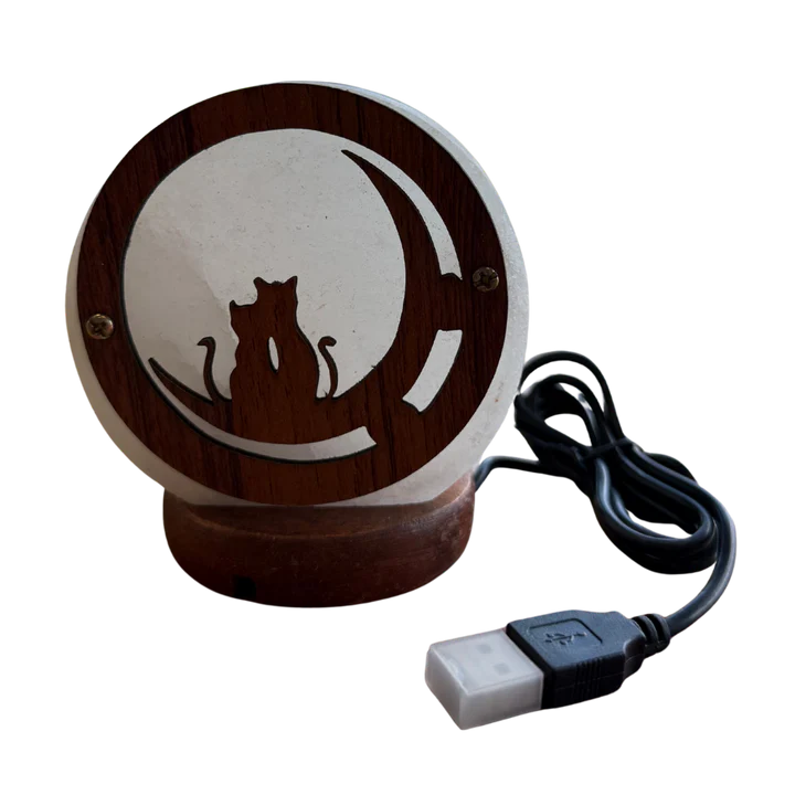 Lampada Sale Bianco Piccola con Gattini Seduti su Luna